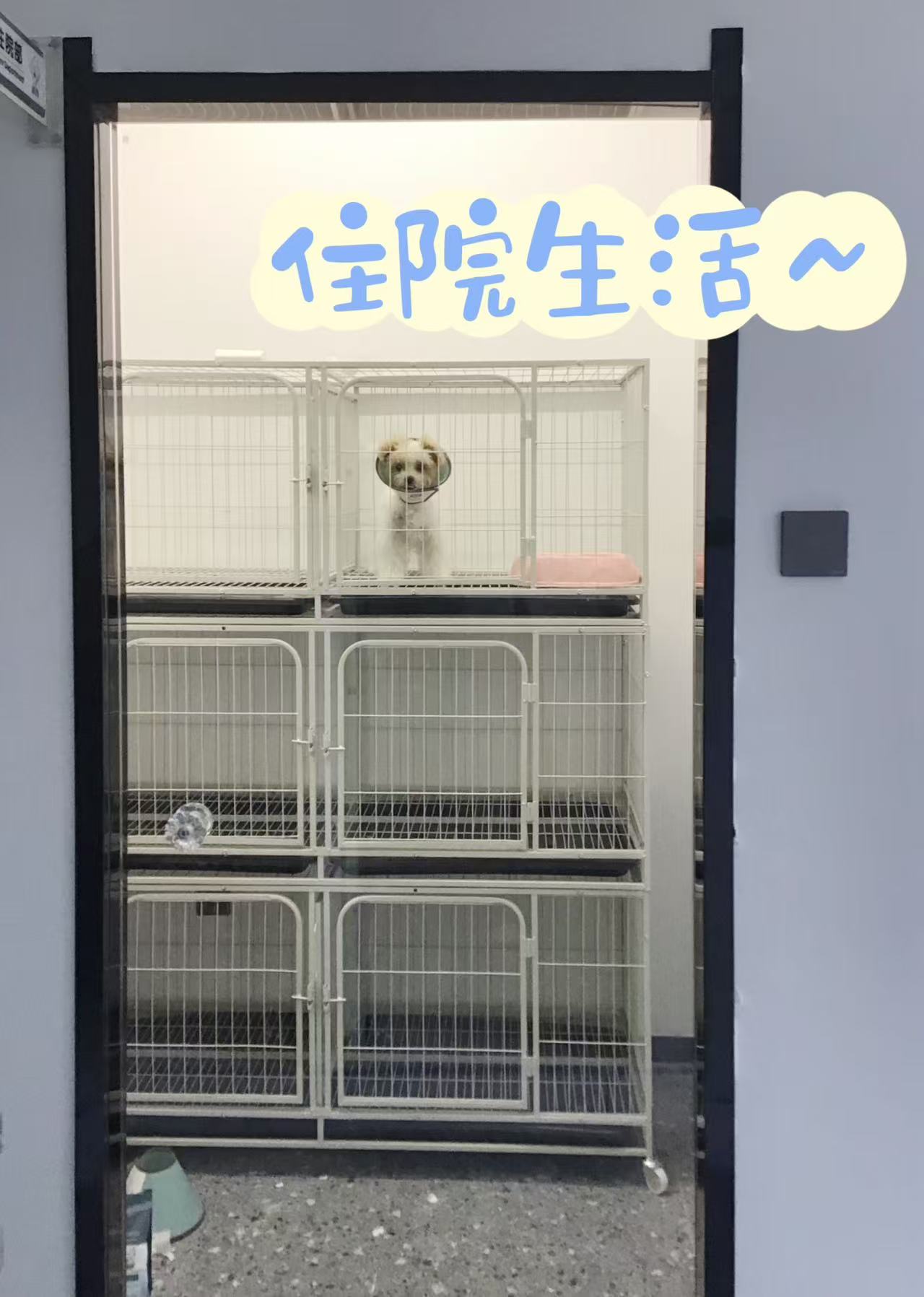 文章插图