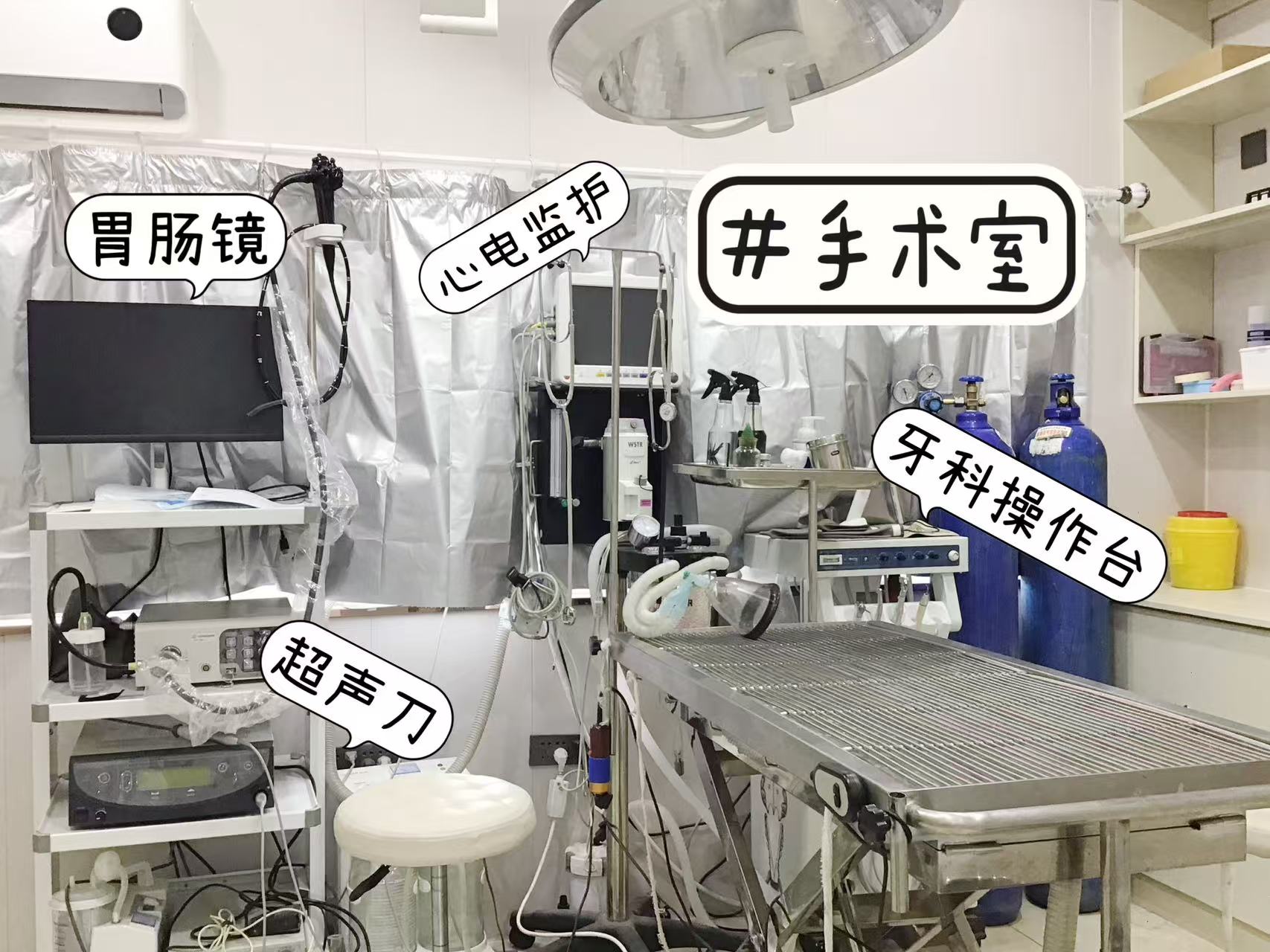 文章插图