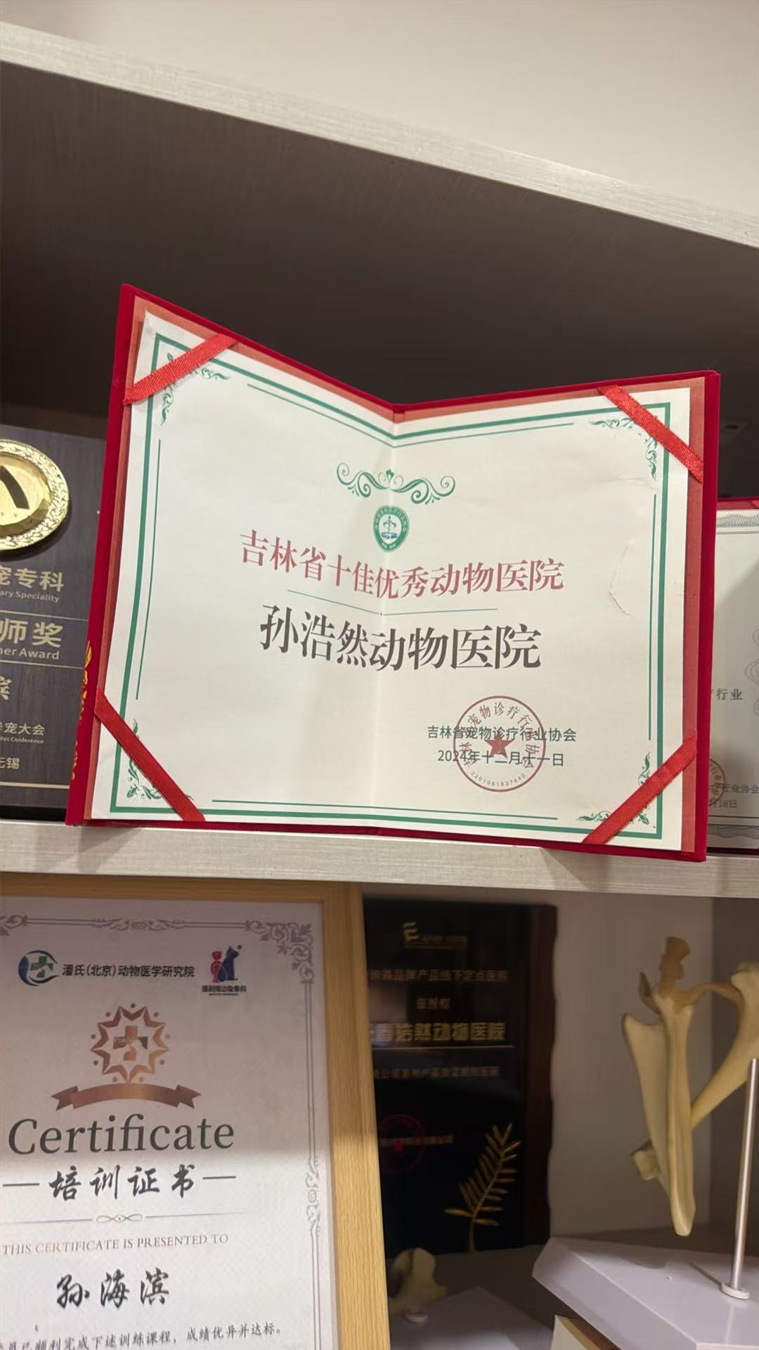 文章插图