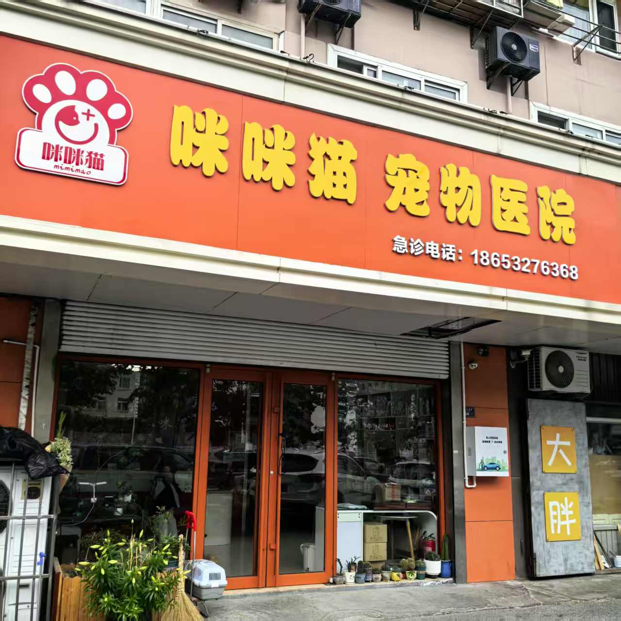文章插图
