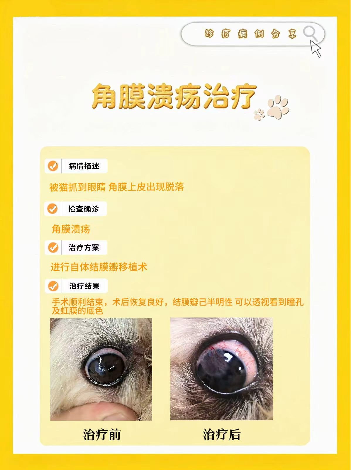 文章插图