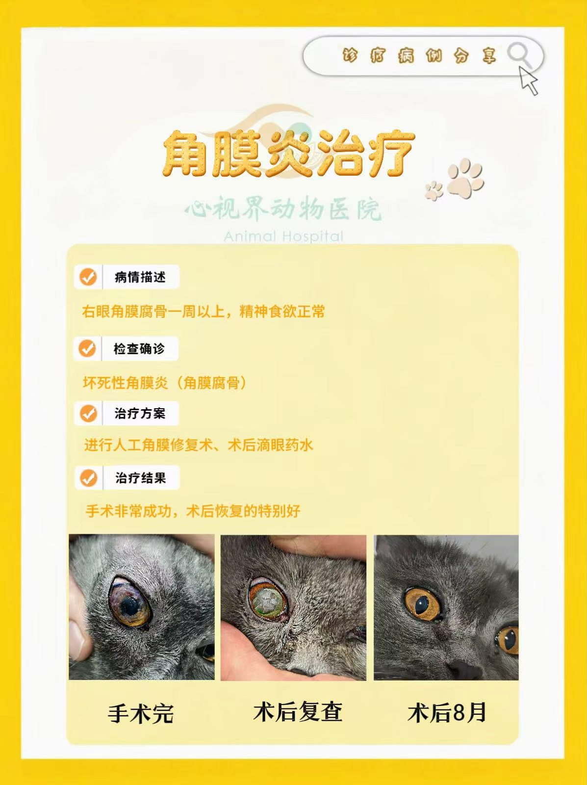 文章插图