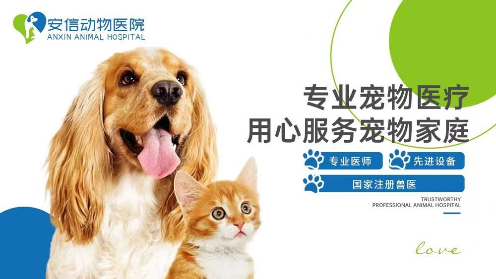 文章插图