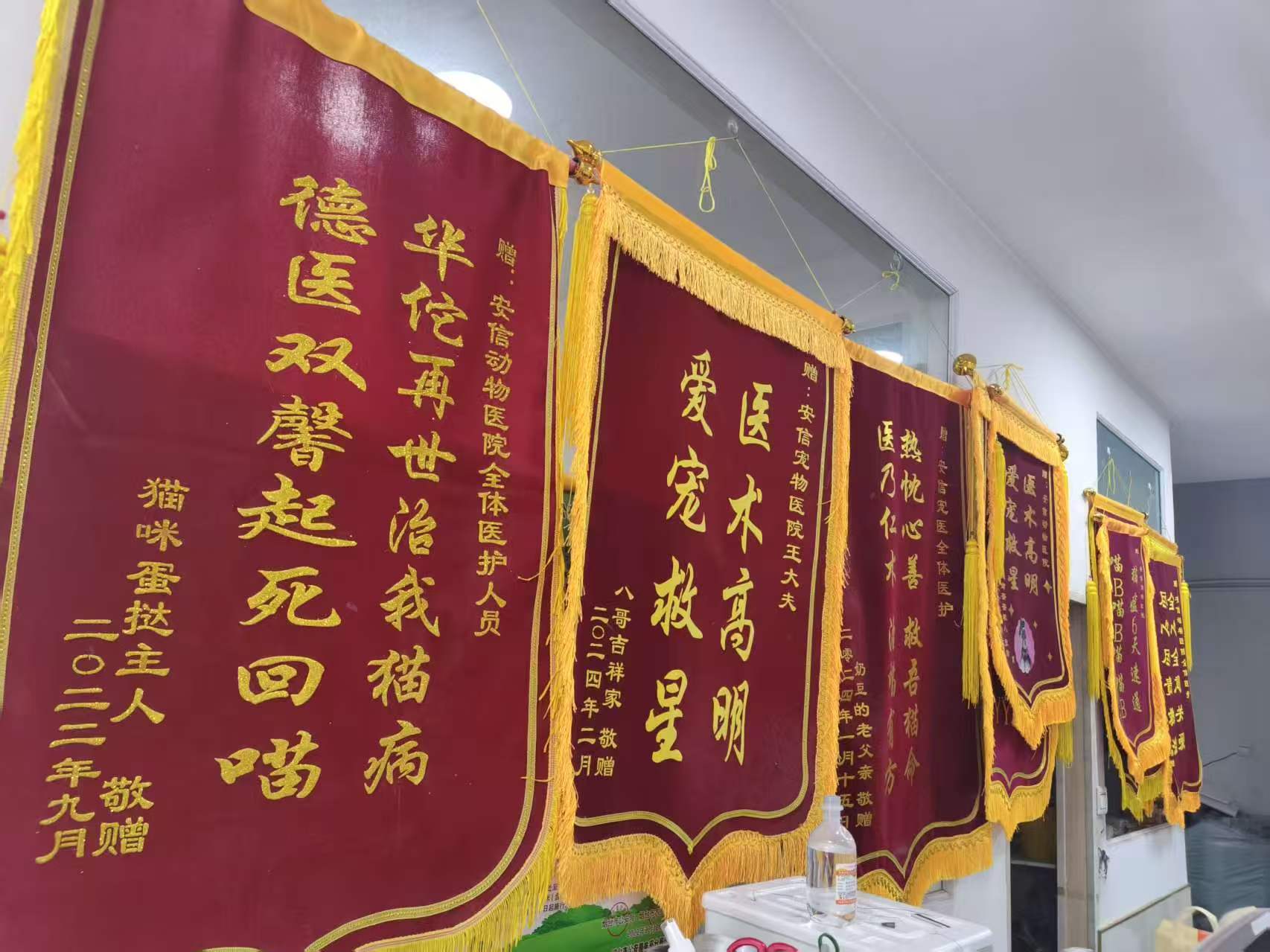 文章插图