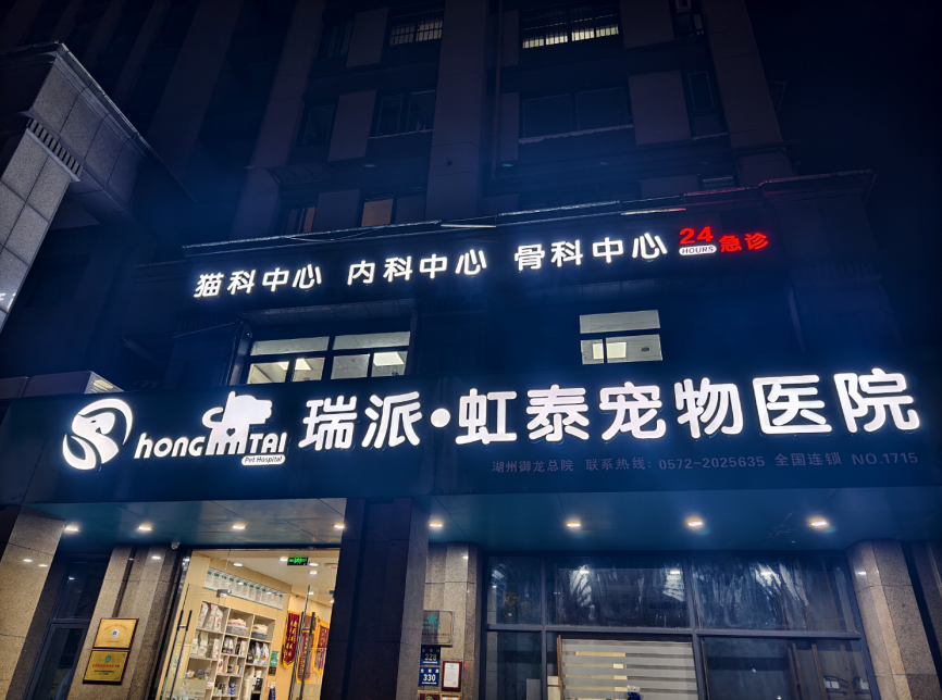 文章插图