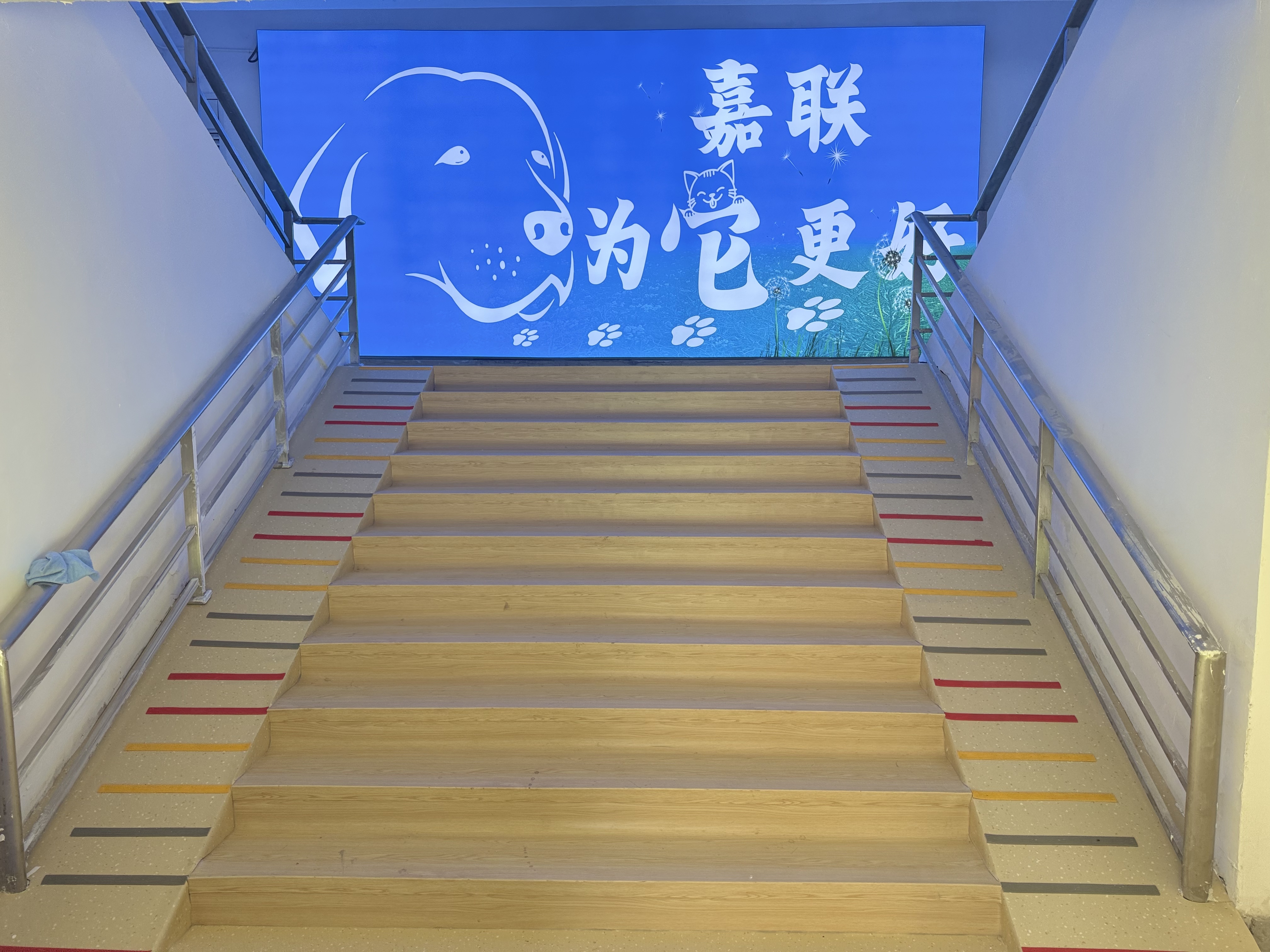 文章插图