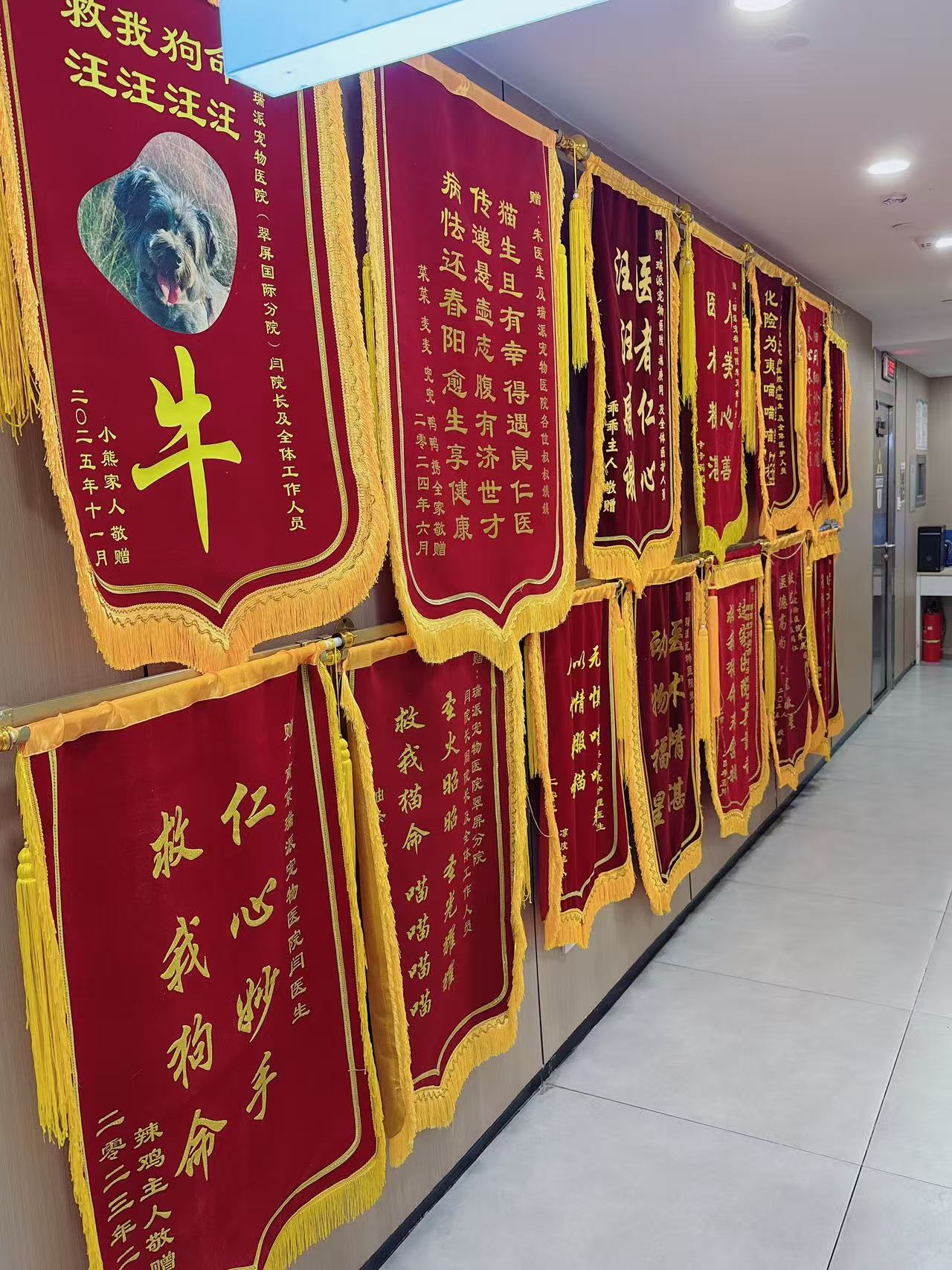 文章插图