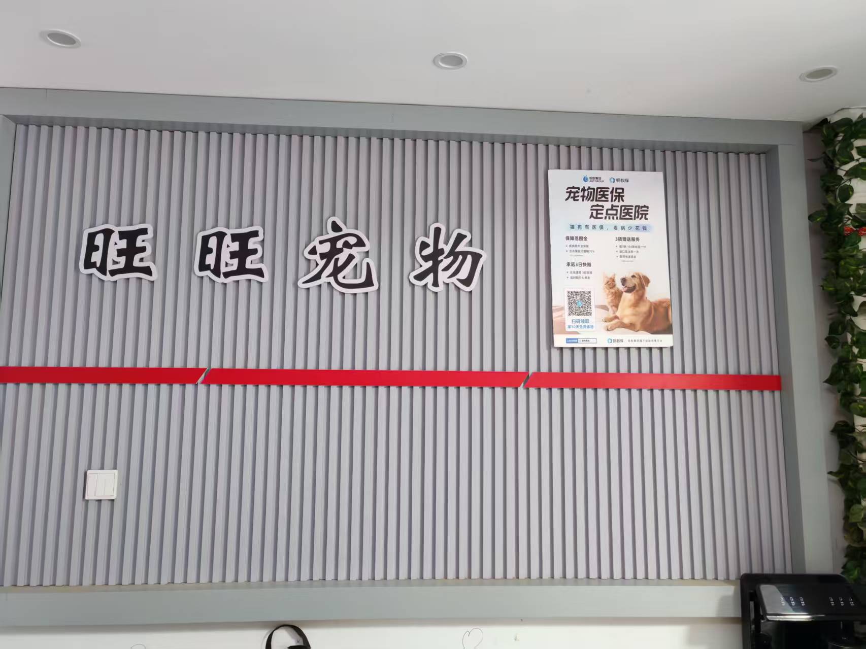 文章插图