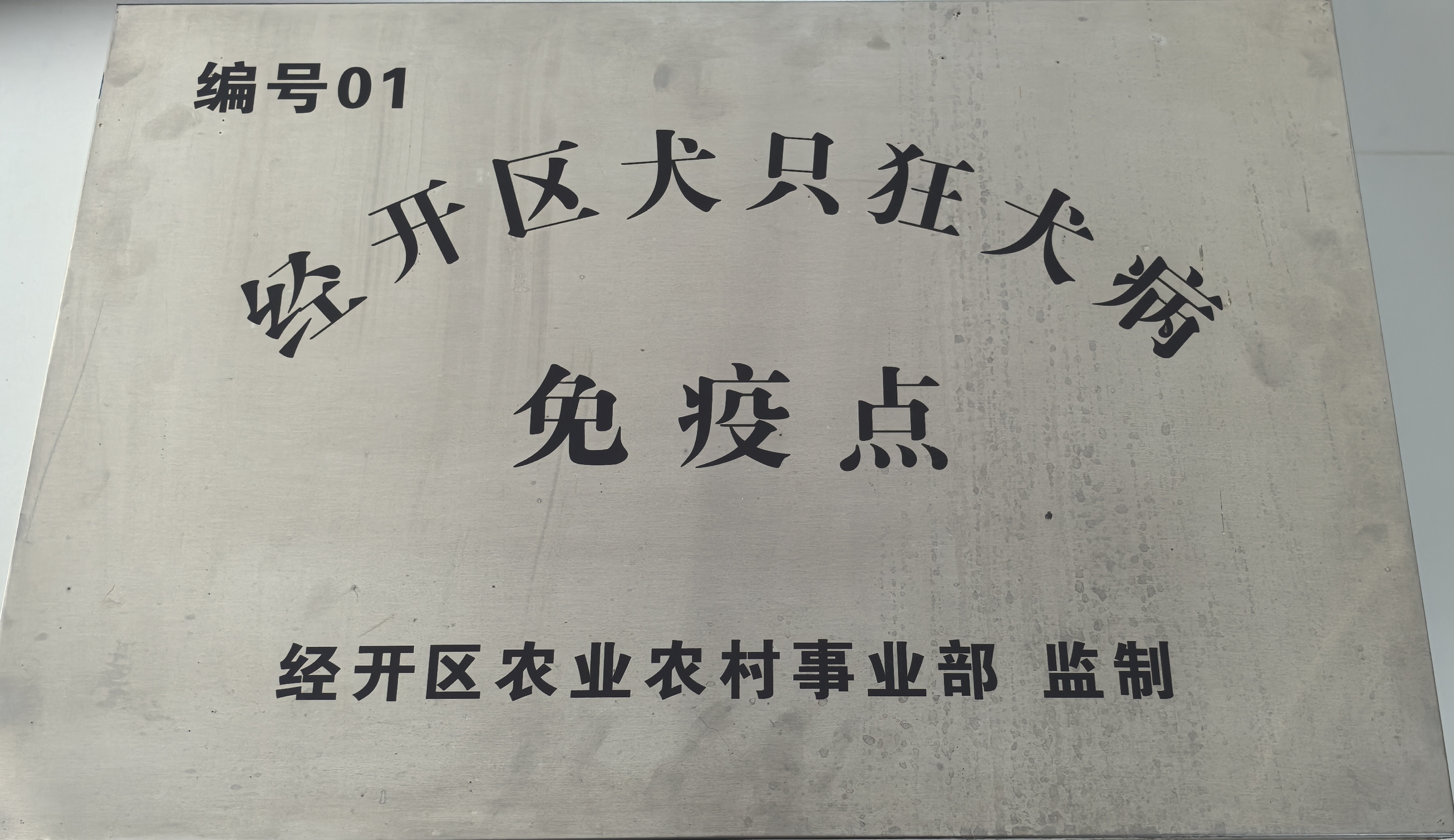 文章插图