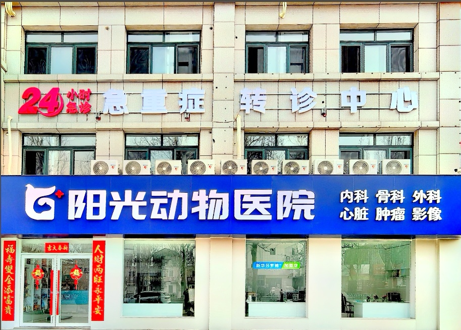 文章插图